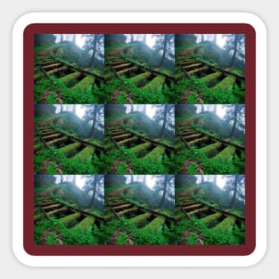 More beautiful Forest trees Sticker